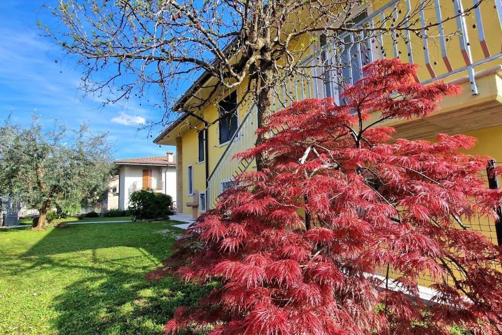 Апартаменти Ca' Degli Ulivi Капріно-Веронезе Екстер'єр фото